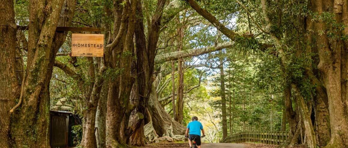 Cyclist riding past Moreton Bay Figs and Hundred Acres Reserve on Norfolk Island