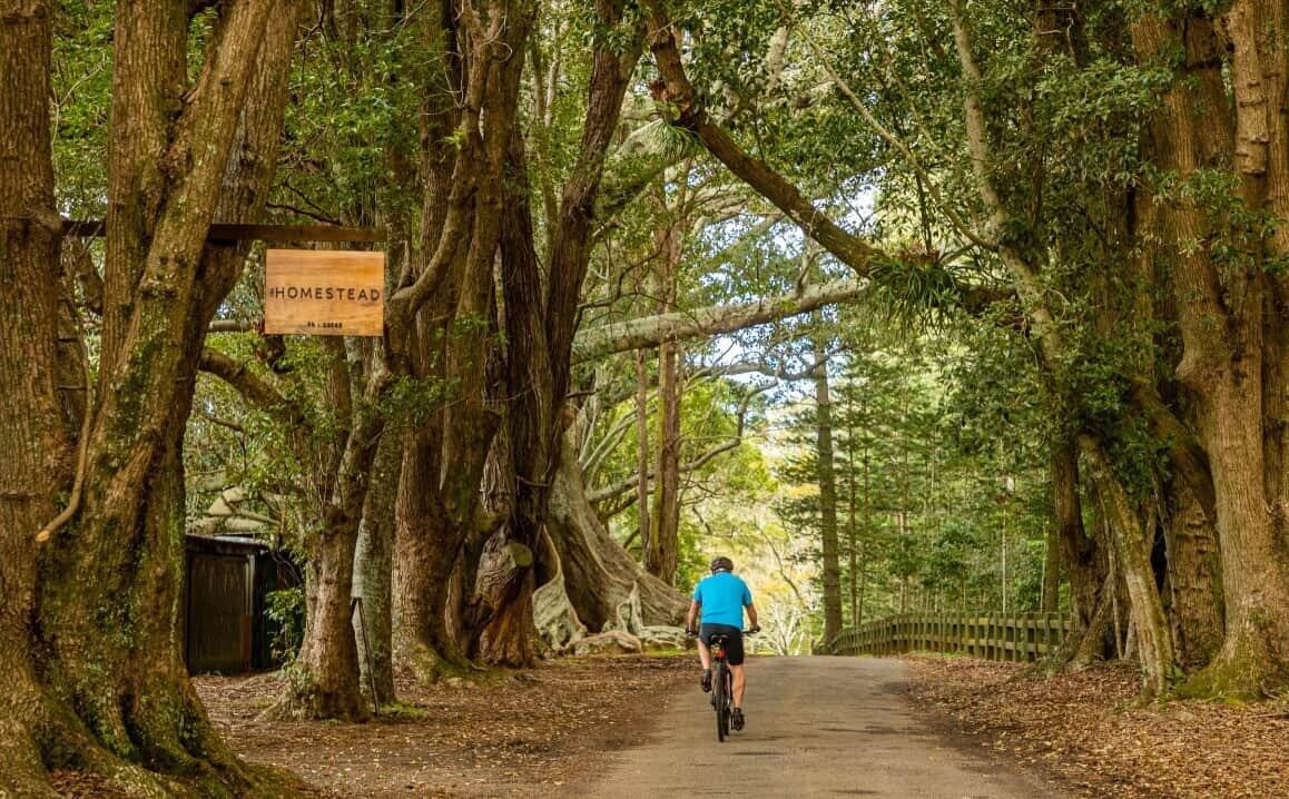 Cyclist riding past Moreton Bay Figs and Hundred Acres Reserve on Norfolk Island
