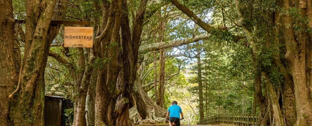 Cyclist riding past Moreton Bay Figs and Hundred Acres Reserve on Norfolk Island