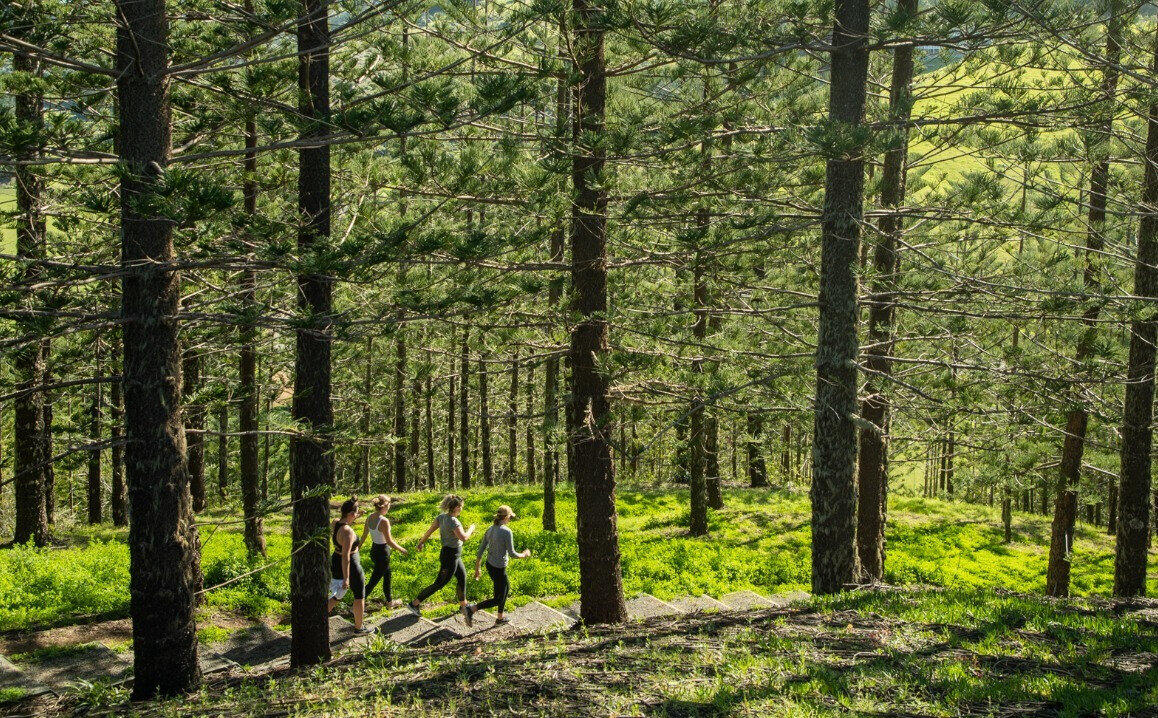 Group walking through trees on Norfolk Island