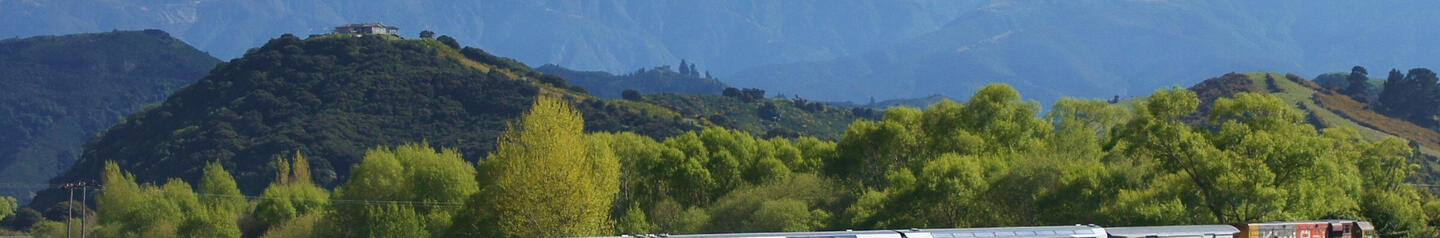 train in new zealand