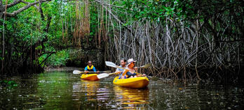 kayaking in Fiji