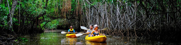 kayaking in Fiji