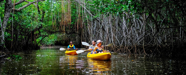kayaking in Fiji