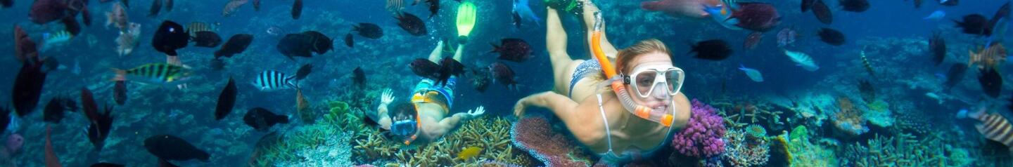 Snorkelling in the South Pacific