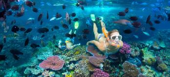 Snorkelling in the South Pacific