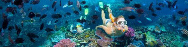 Snorkelling in the South Pacific
