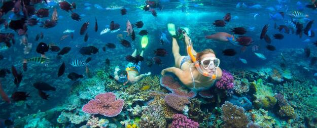 Snorkelling in the South Pacific