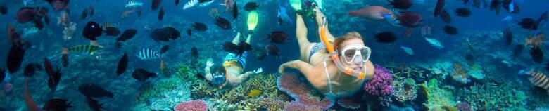 Snorkelling in the South Pacific