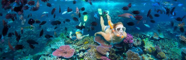 Snorkelling in the South Pacific