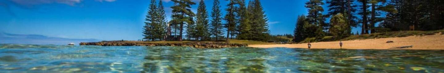 What You Need to Know About Norfolk Island