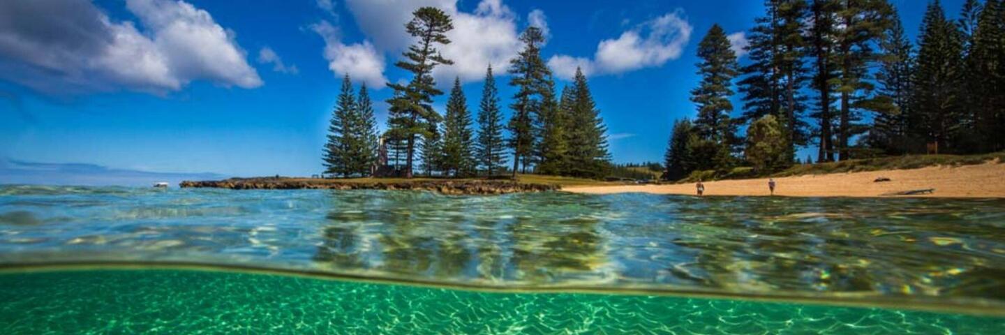 What You Need to Know About Norfolk Island