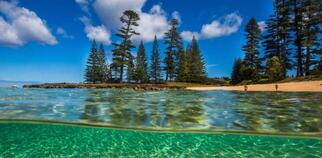What You Need to Know About Norfolk Island