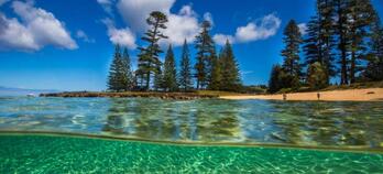 What You Need to Know About Norfolk Island