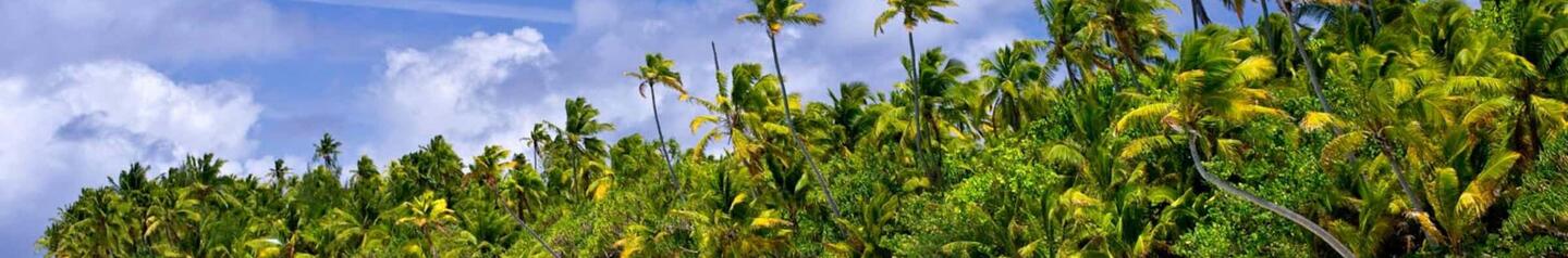 Cook Islands best islands