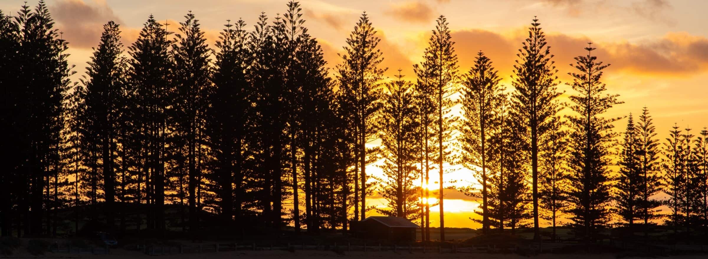 seniors at Norfolk Island
