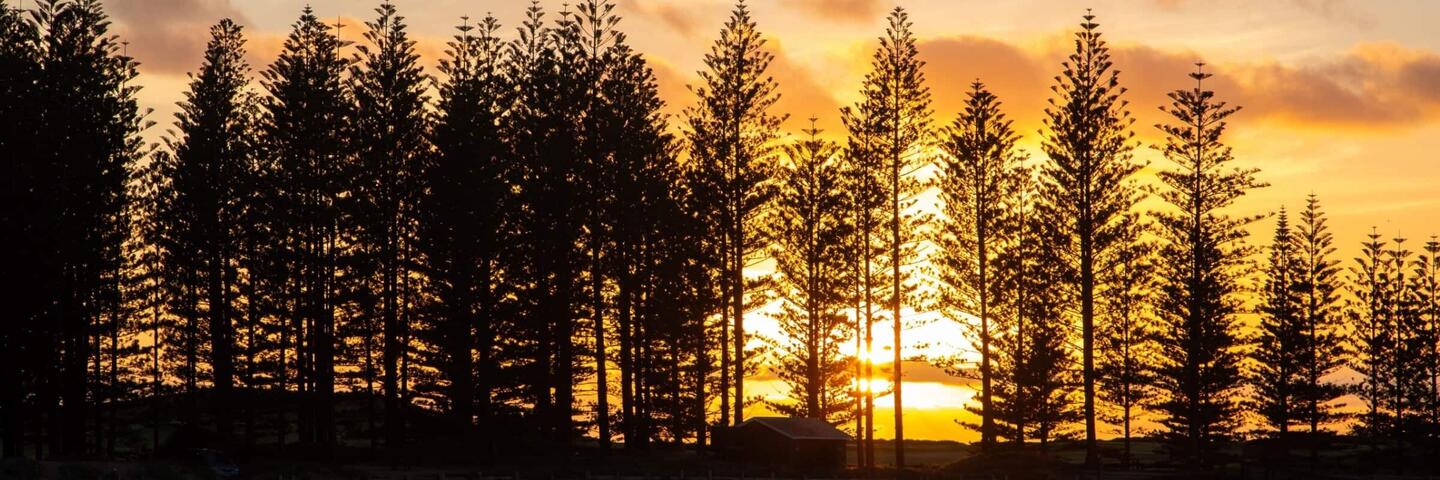 seniors at Norfolk Island
