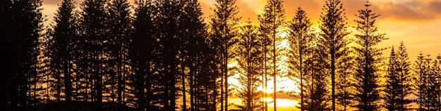 seniors at Norfolk Island