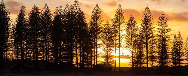 seniors at Norfolk Island