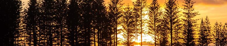 seniors at Norfolk Island