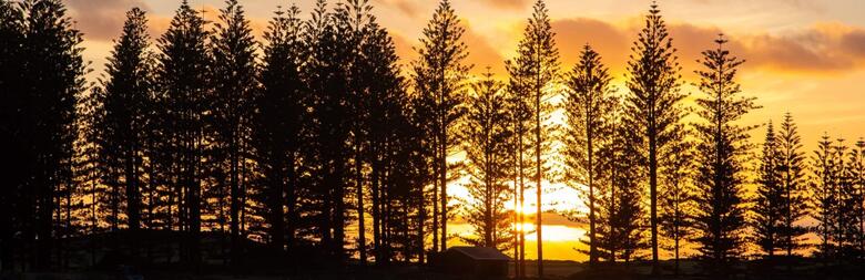 seniors at Norfolk Island