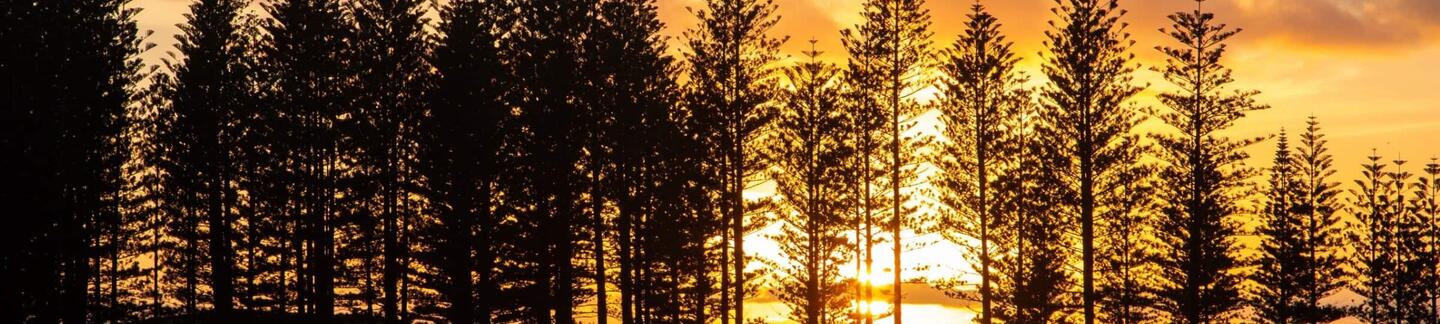seniors at Norfolk Island