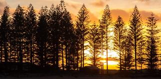 seniors at Norfolk Island
