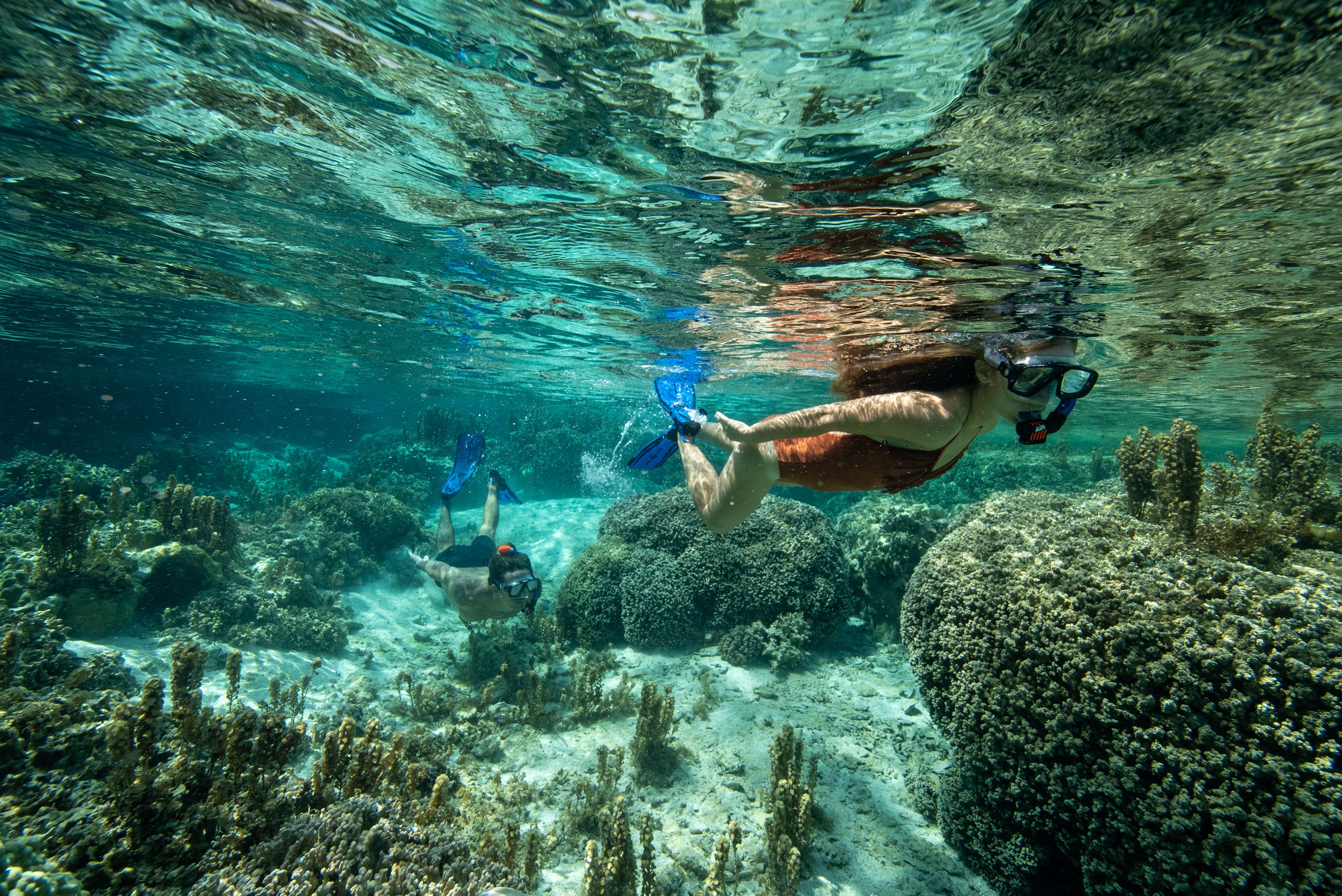 Snorkelling in Tahiti