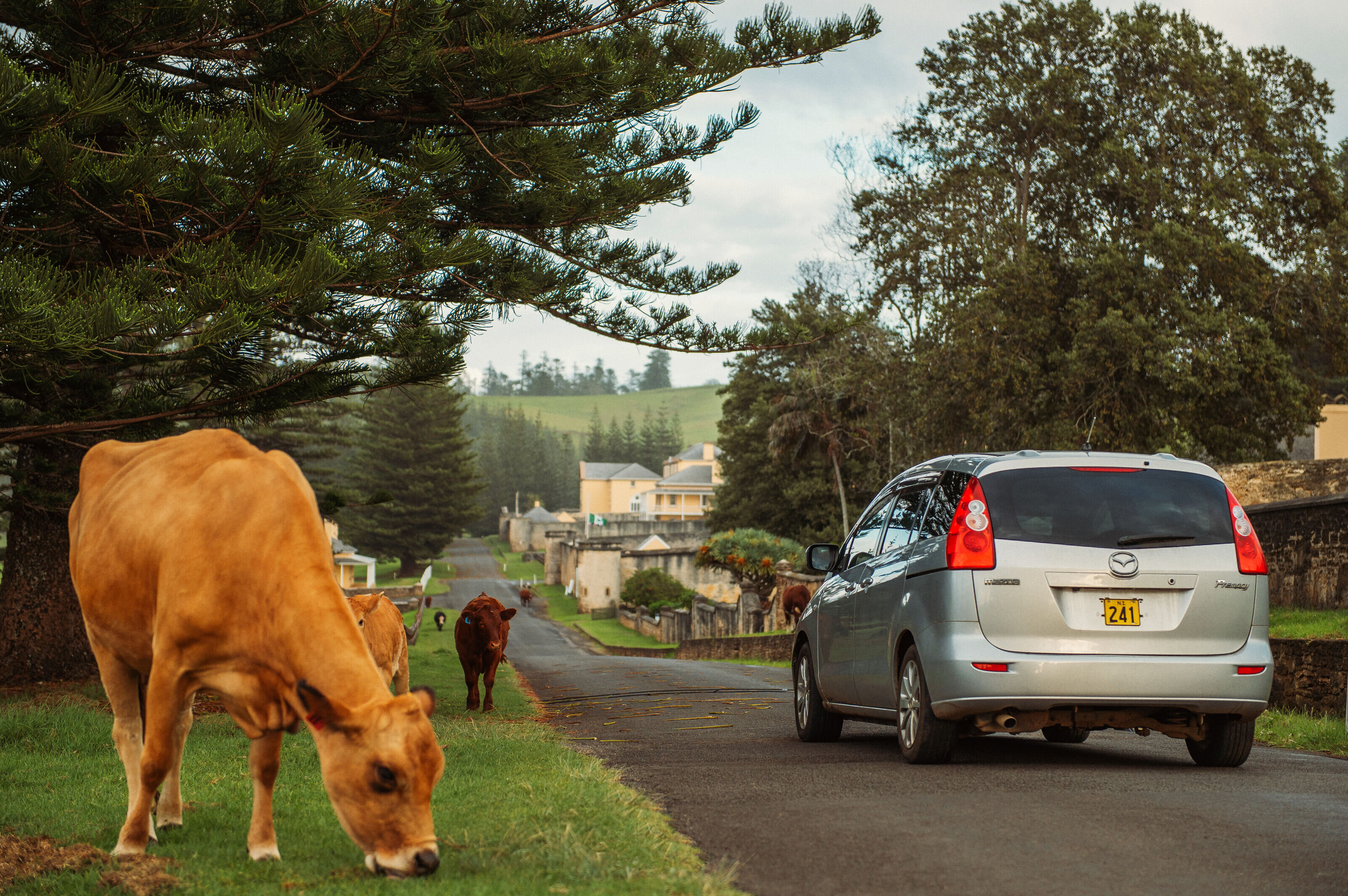 Driving on Norfolk Island