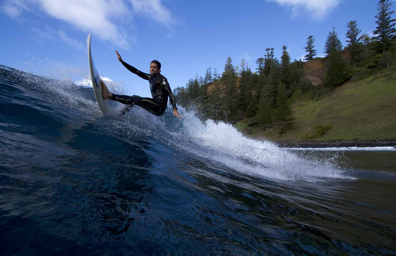 A surfer rides a breaking wave with a pine-crested hillside in the background
