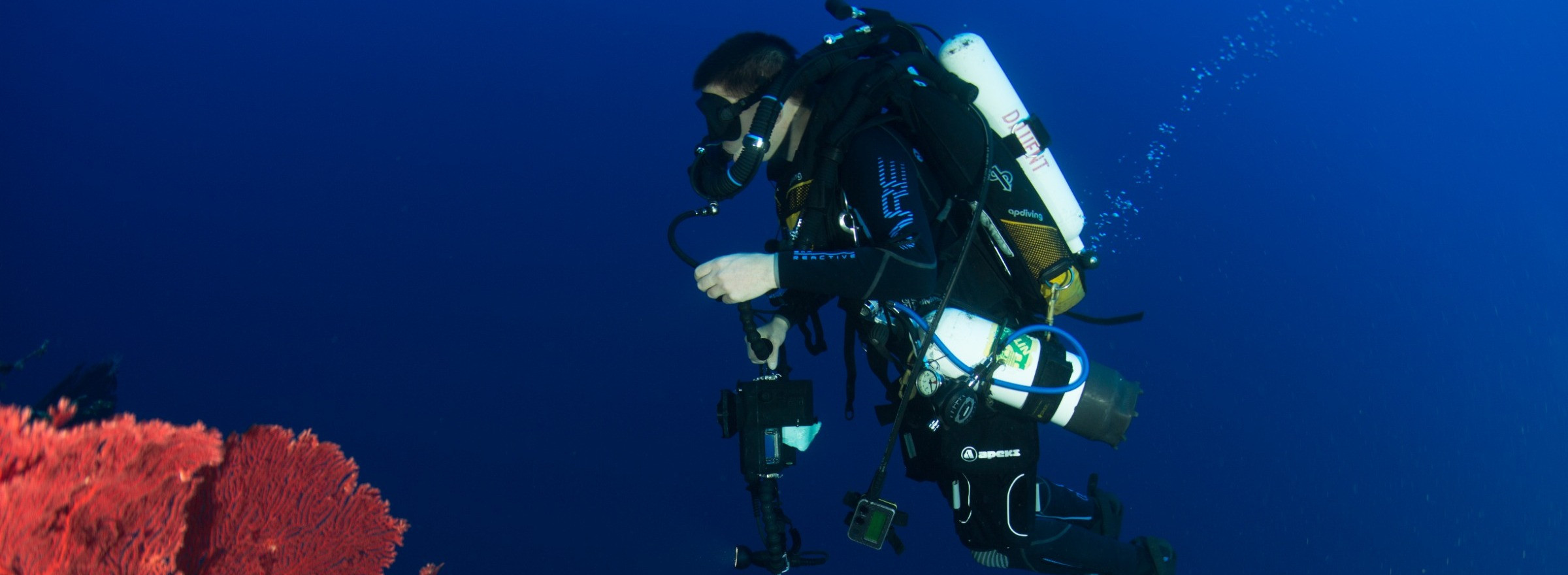 Scuba Diving in the Solomon Islands