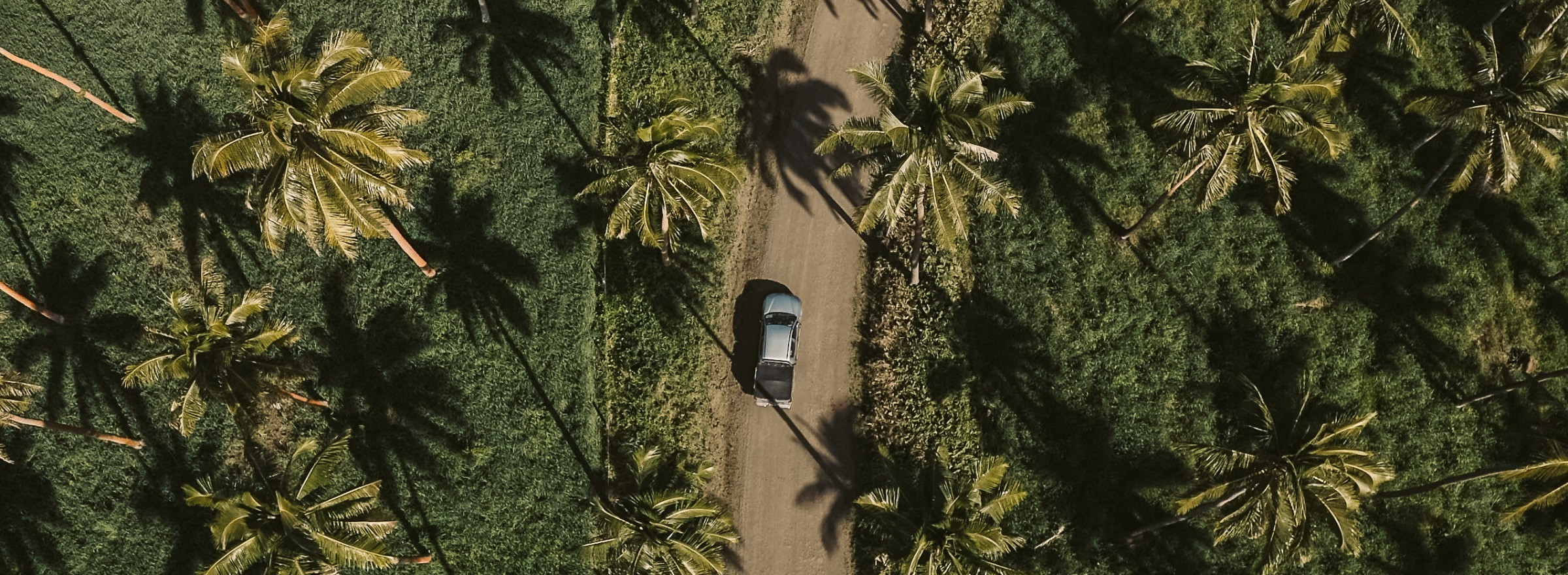 Fijian Local driving on dirt road surrounded by Palm Trees