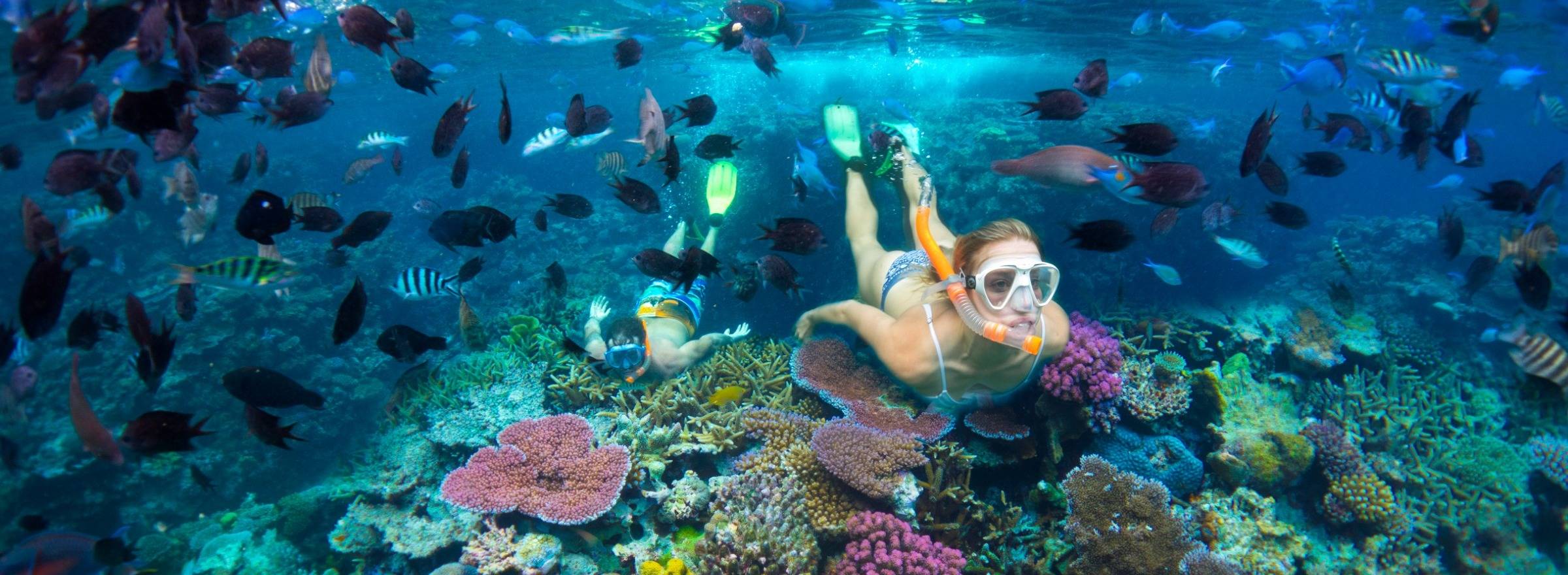 Snorkelling in the South Pacific