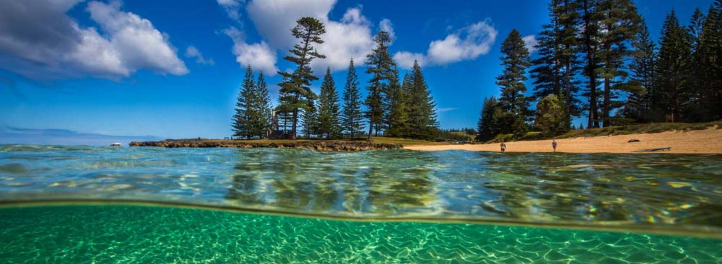 What You Need to Know About Norfolk Island