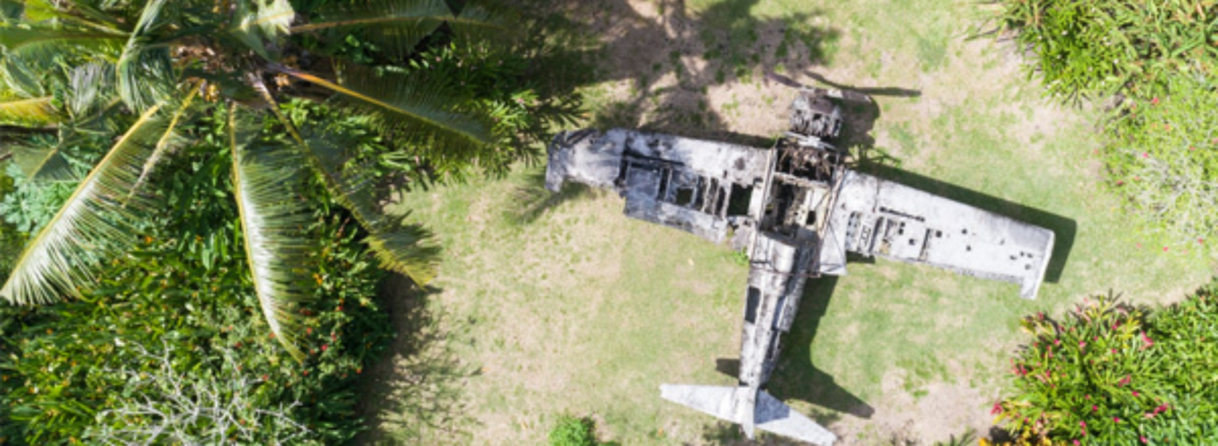 plane wreck image from WW2