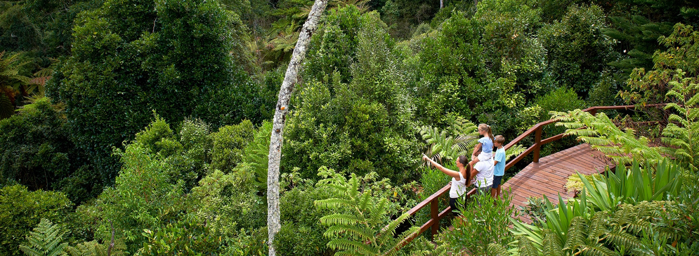 Image of family in botanical gardens Norfolk Island