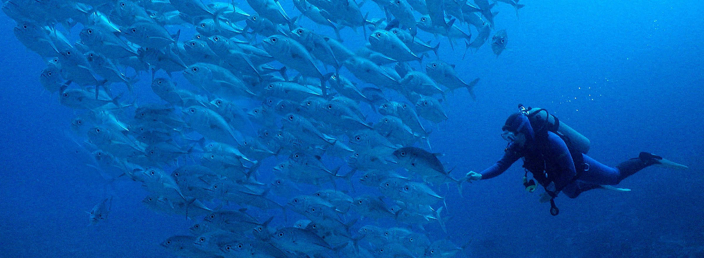 5 Fiji dive spots