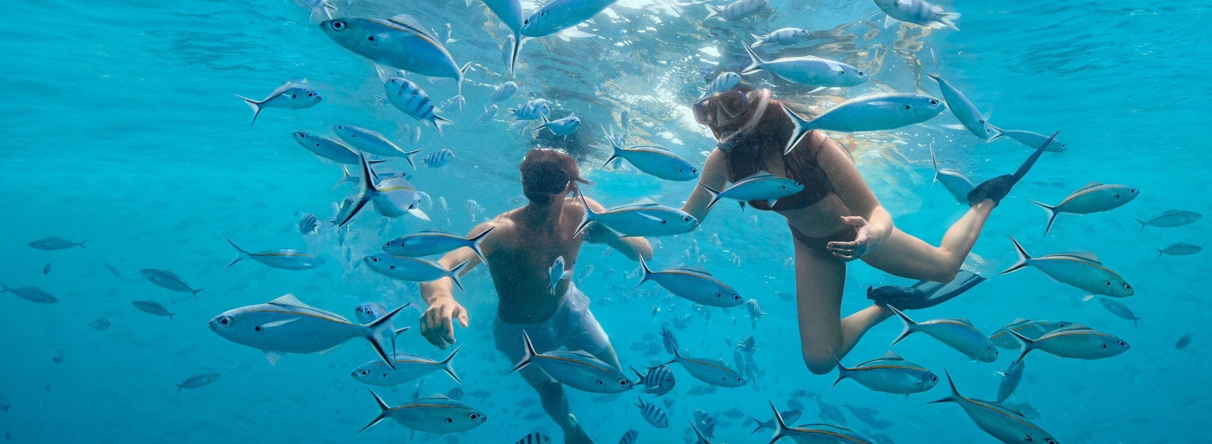 snorkelling couple