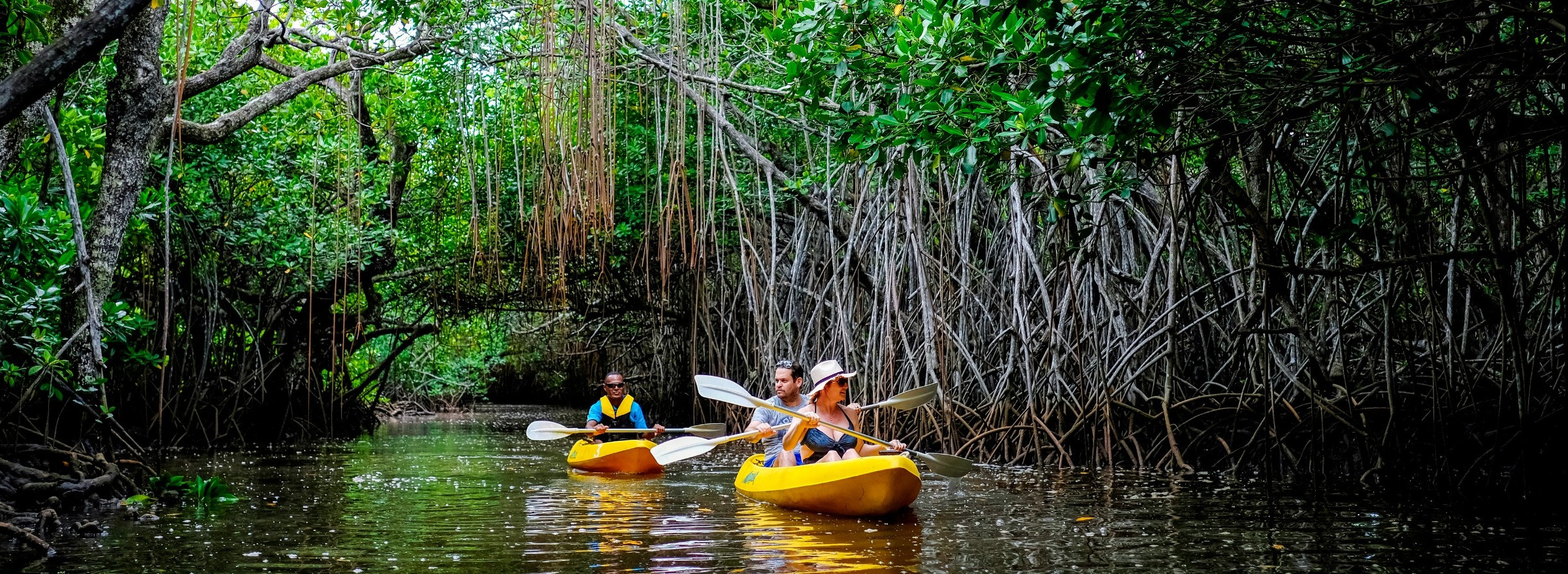 kayaking couple in rainforest