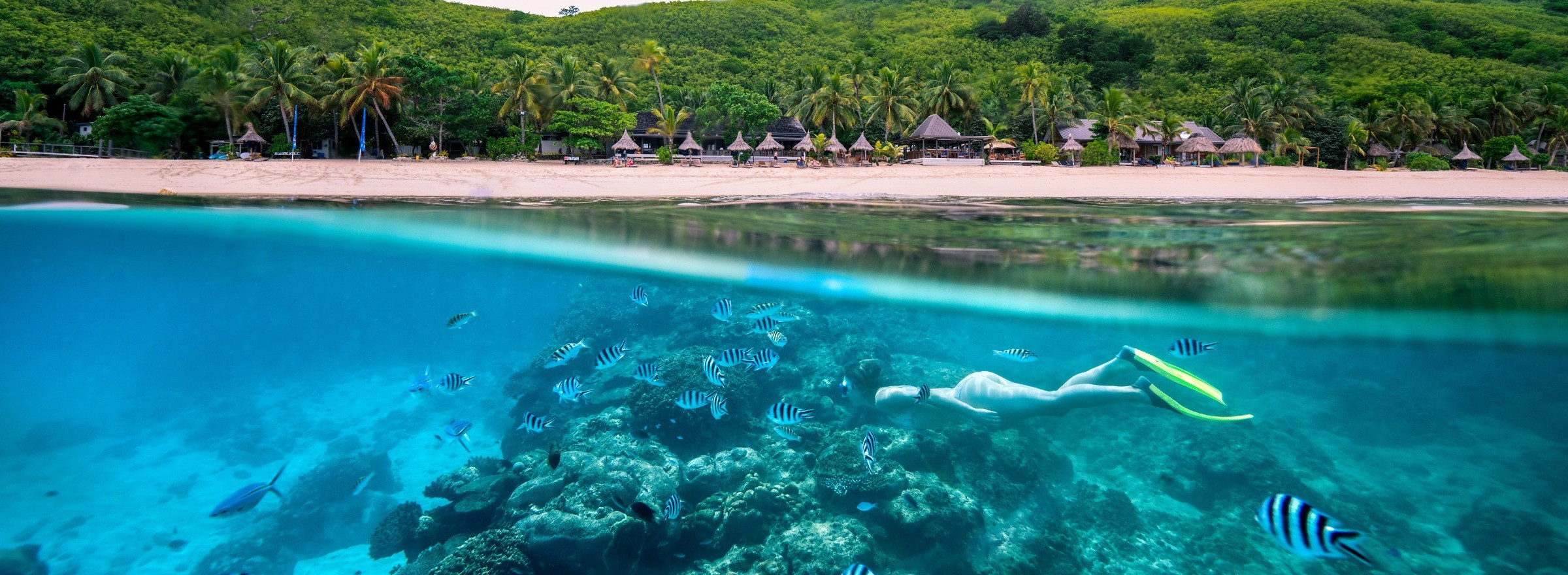 Woman snorkelling off beach surrounded by coral and tropical fish