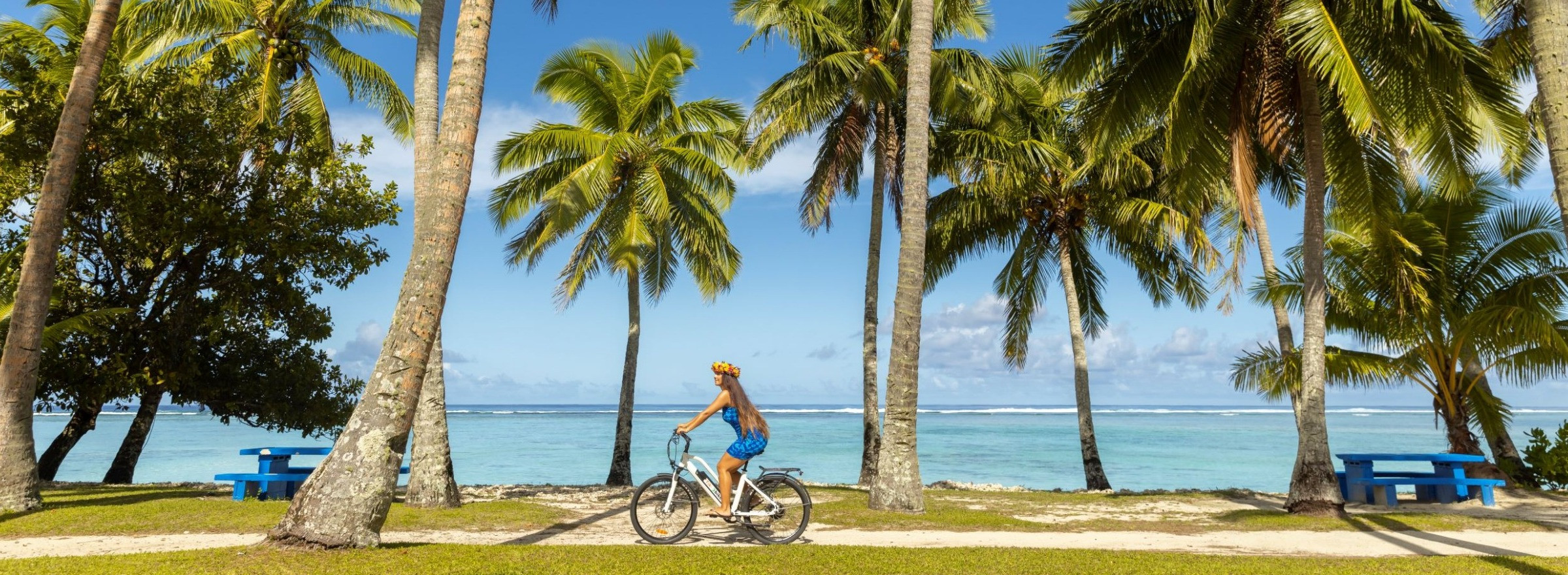 Image of a woman riding along a path lined with palm trees next to the beach