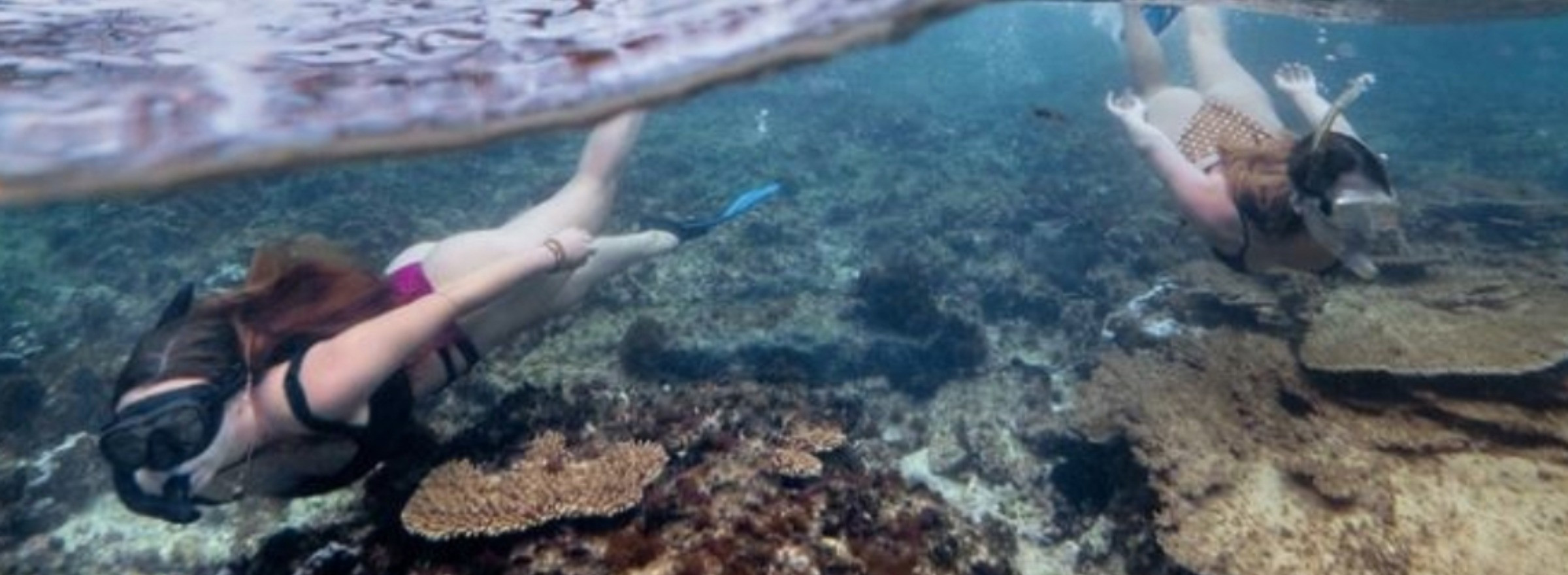 image of women snorkelling