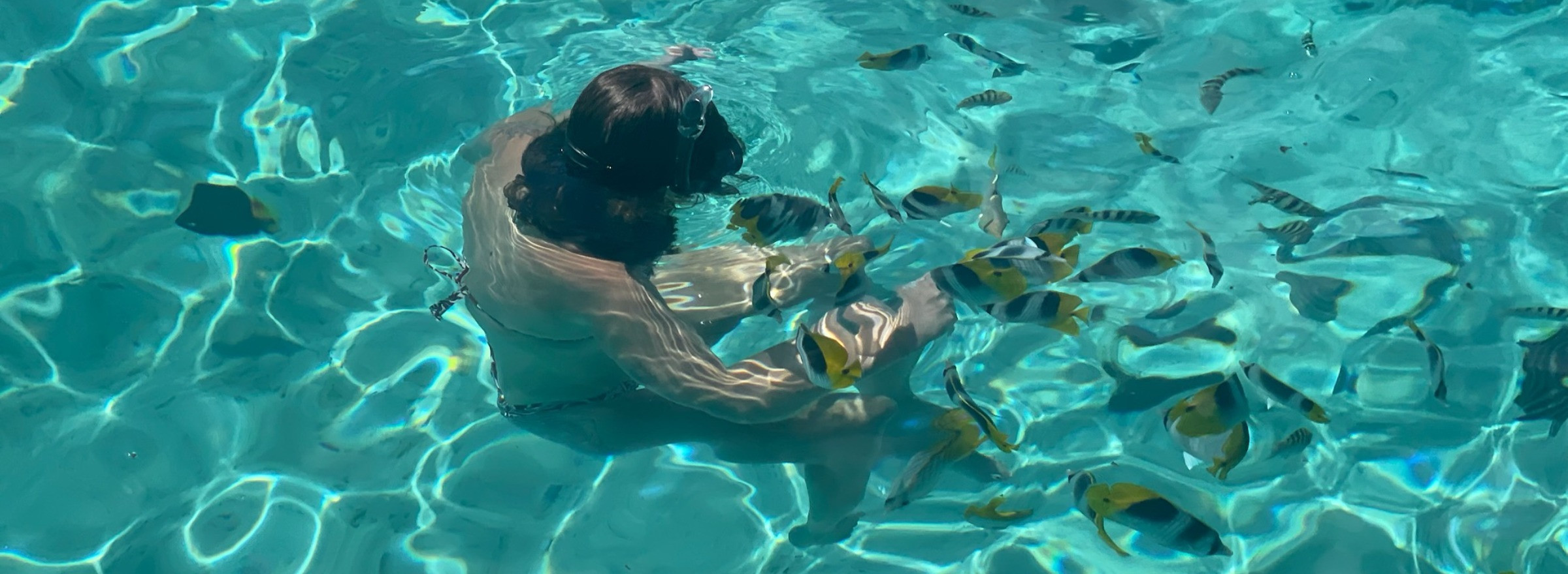 Swimming with Tropical Fish in Tahiti